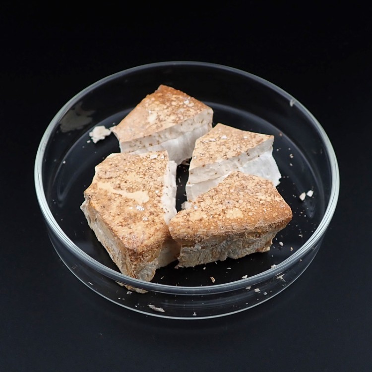 Résinoïde / Absolue d'ambre gris