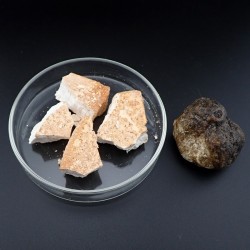 Brown ambergris resinoid / absolute