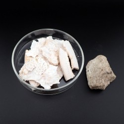 White ambergris resinoid / absolute