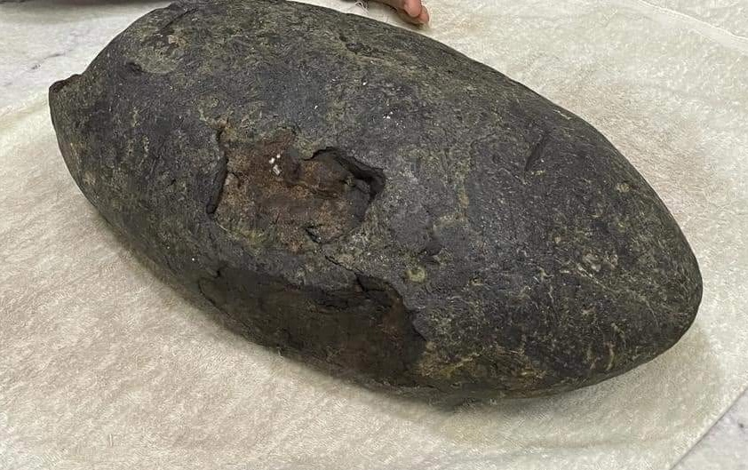 Muntahan paus hitam Sulawesi
