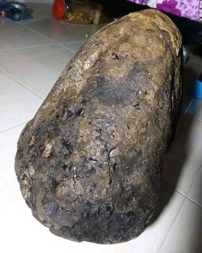 Asli Muntahan Paus