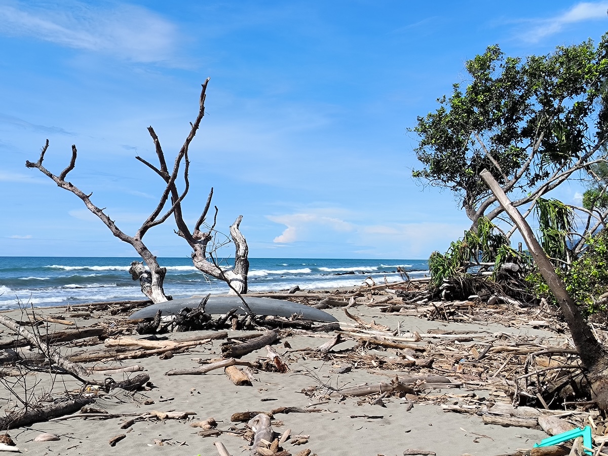 Pantai setelah badai Papua